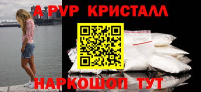 СК Новодвинск