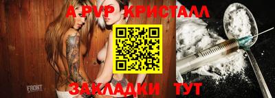 СК Новодвинск