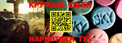 СК Новодвинск