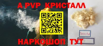 СК Новодвинск