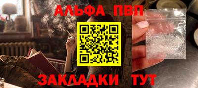СК Новодвинск