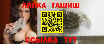 СК Новодвинск