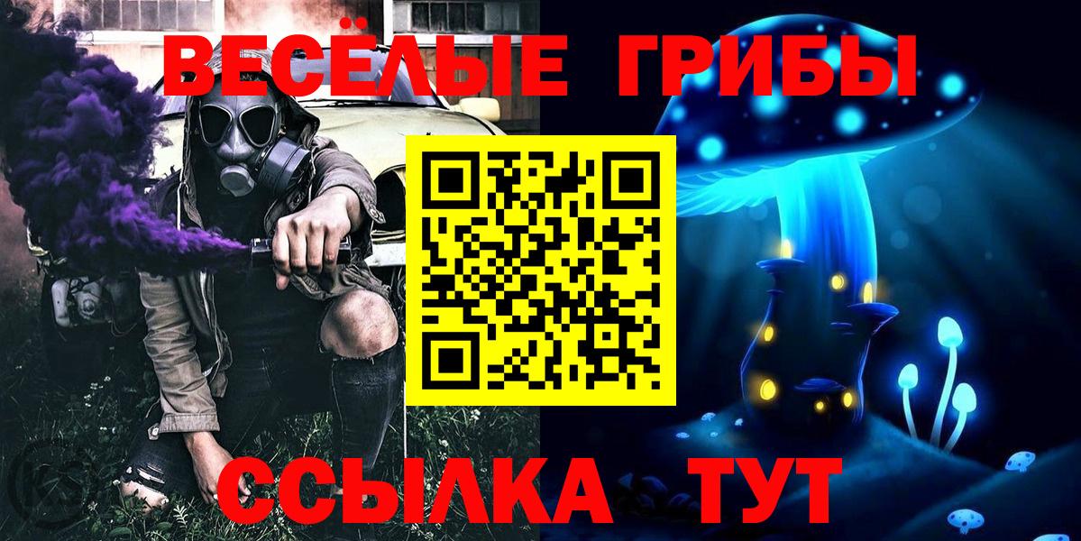 Нальчик  Галлюциногенные грибы GOLDEN TEACHER  Галлюциногенные грибы ЛСД  Вход с VPN 